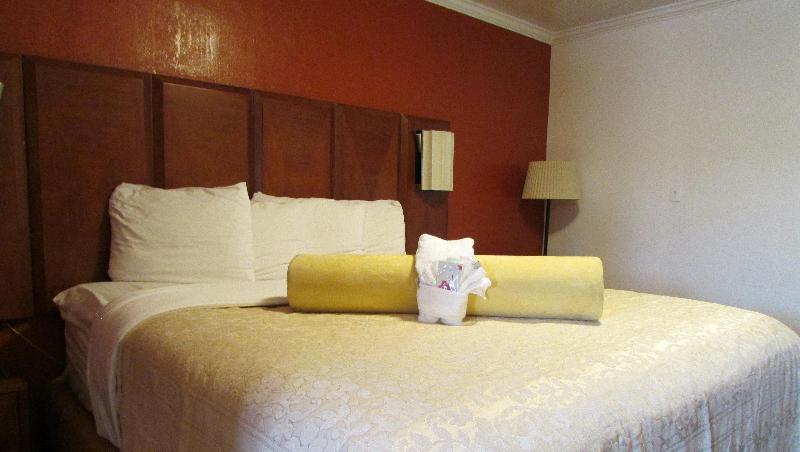 Mountain Star Inn - photo 100