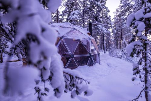 GLØD Aurora Canvas Dome — Alta — photo 3