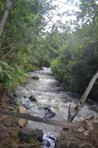 Pacha Waterfront Nithi in Chuka, Kenya