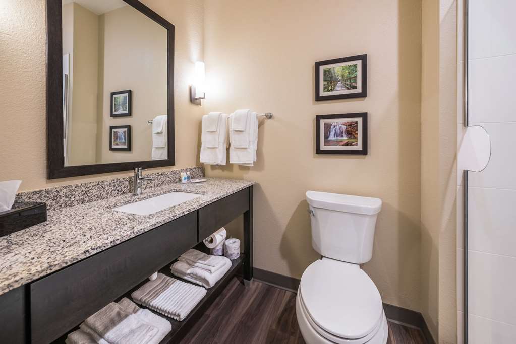 Comfort Suites Marysville Columbus Northwest - photo 15