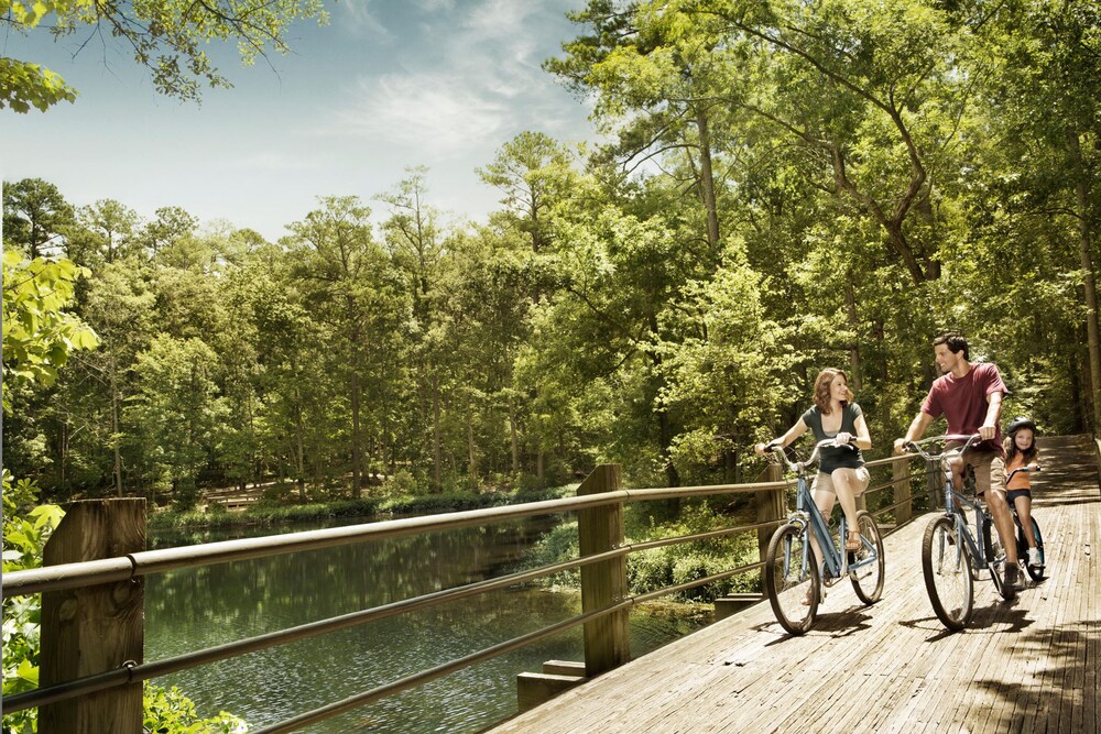 Callaway Gardens' Mountain Creek Inn - photo 25