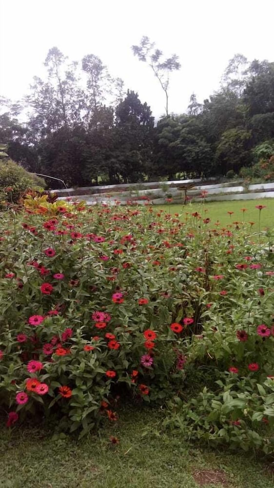 Cabana en Finca Agroecolgica los Pilares in San Isidro, Costa Rica