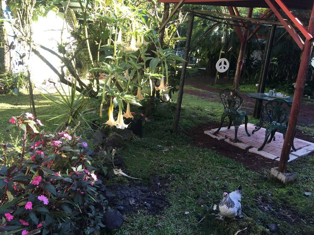 Enchanted Gardens - photo 27