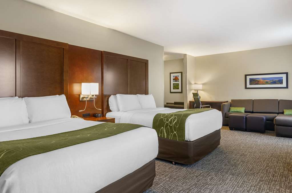 Comfort Suites Helena Airport - photo 21