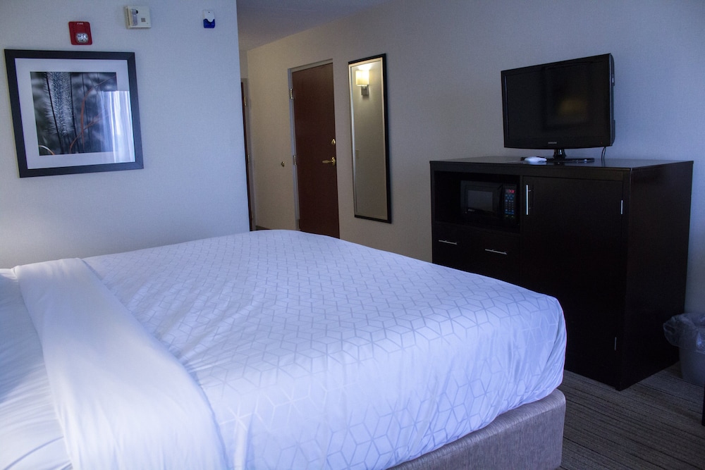 Holiday Inn Express Hotel & Suites Pittsburgh West Mifflin by IHG - photo 10
