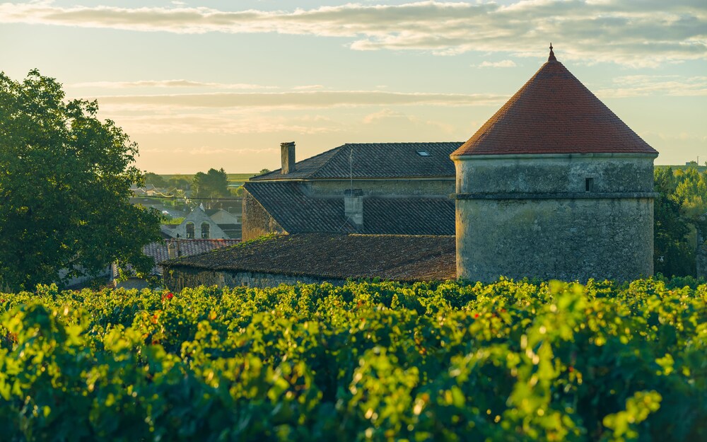 Domaine De Mercade — hotel in Rauzan
