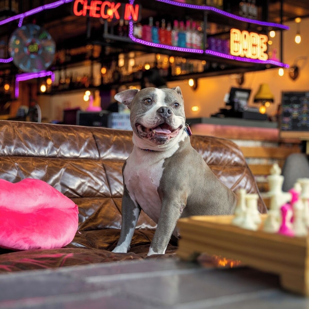 Moxy Houston Downtown - photo 51