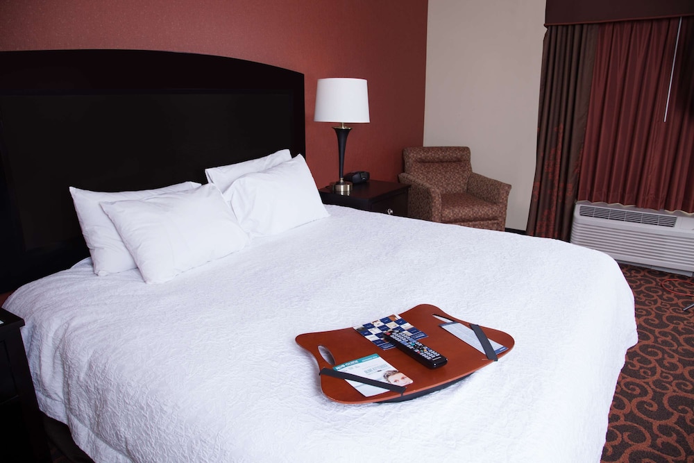 Hampton Inn & Suites Dickinson - photo 37