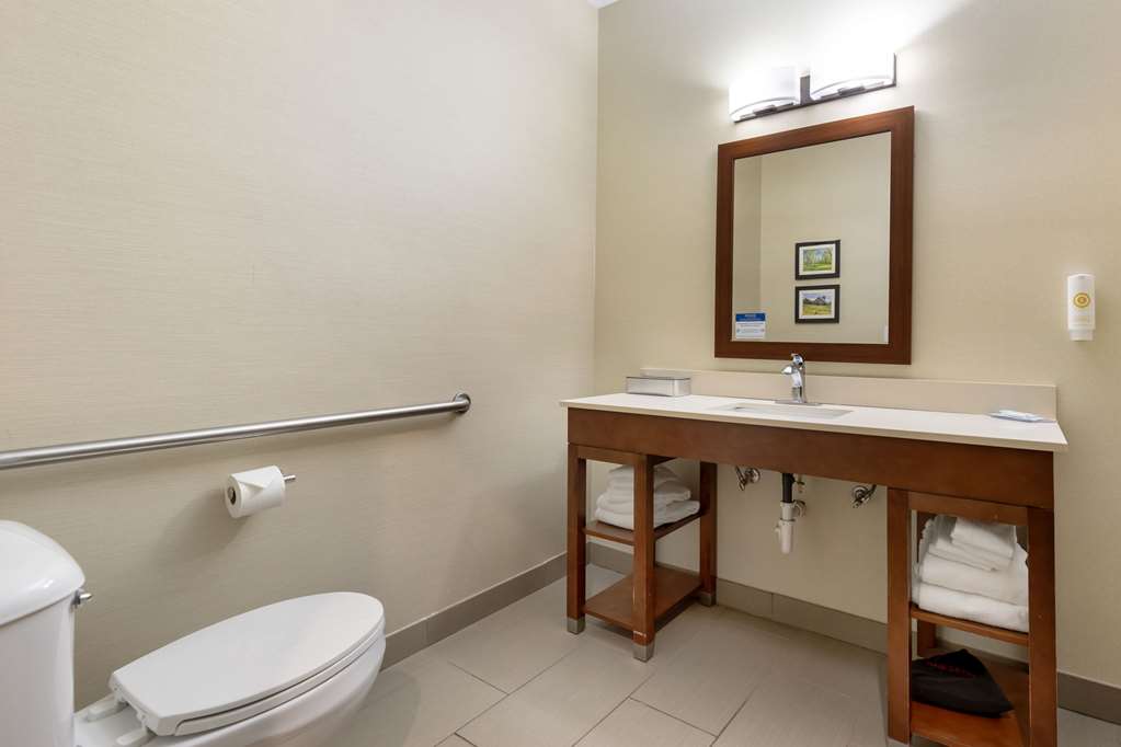Comfort Suites Cedar Falls Industrial Park - photo 7