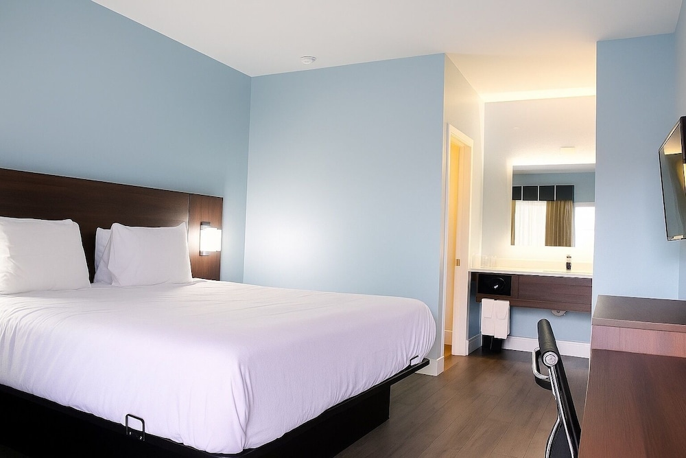 Florence Inn and Suites - photo 12