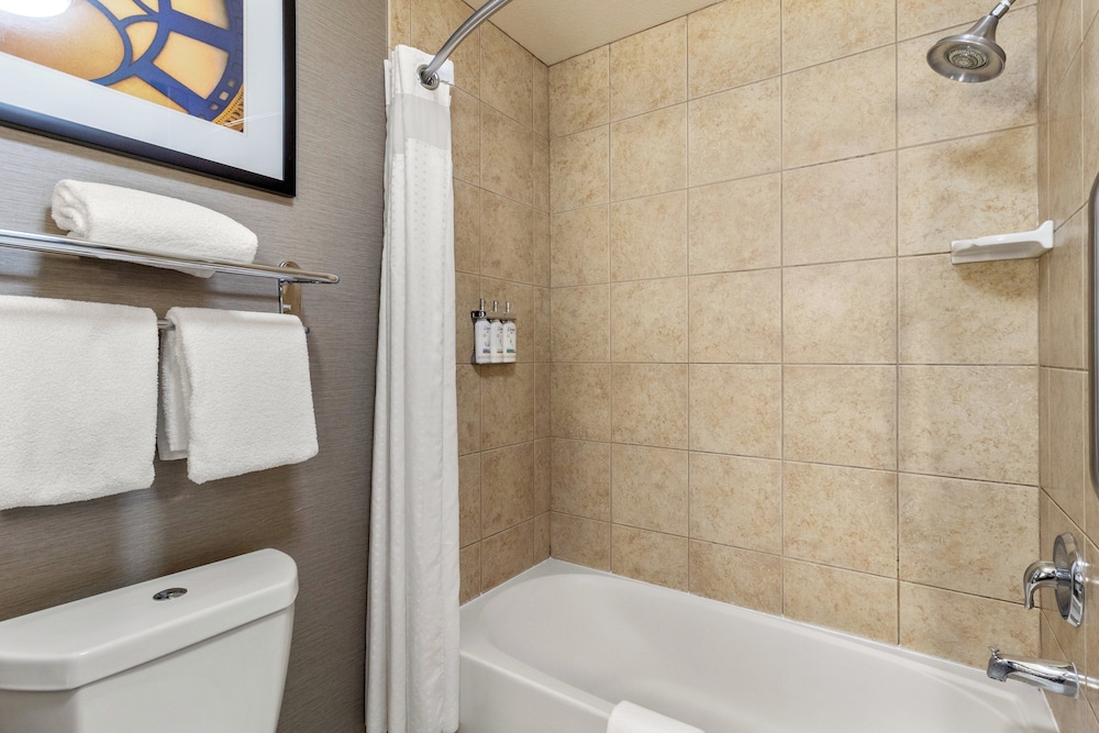 Holiday Inn Express & Suites Barstow Route 66 by IHG - photo 42