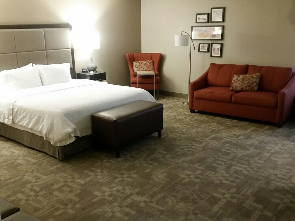 Hampton Inn Garden City Long Island - photo 6