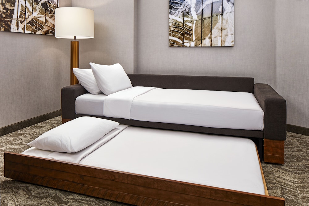 SpringHill Suites by Marriott Los Angeles Downey - photo 8