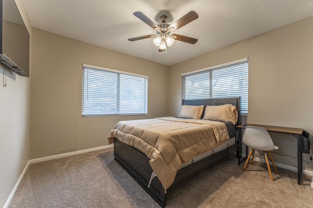 ZenHomes in Tampa near Busch Gardens - photo 5