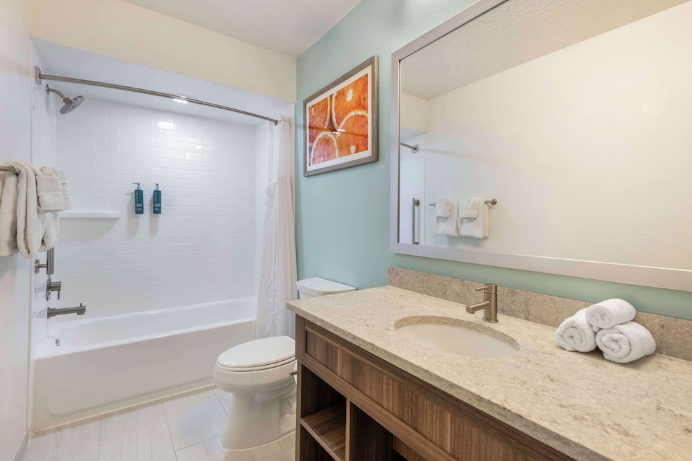 Hilton Vacation Club Aqua Sol Orlando West - photo 53