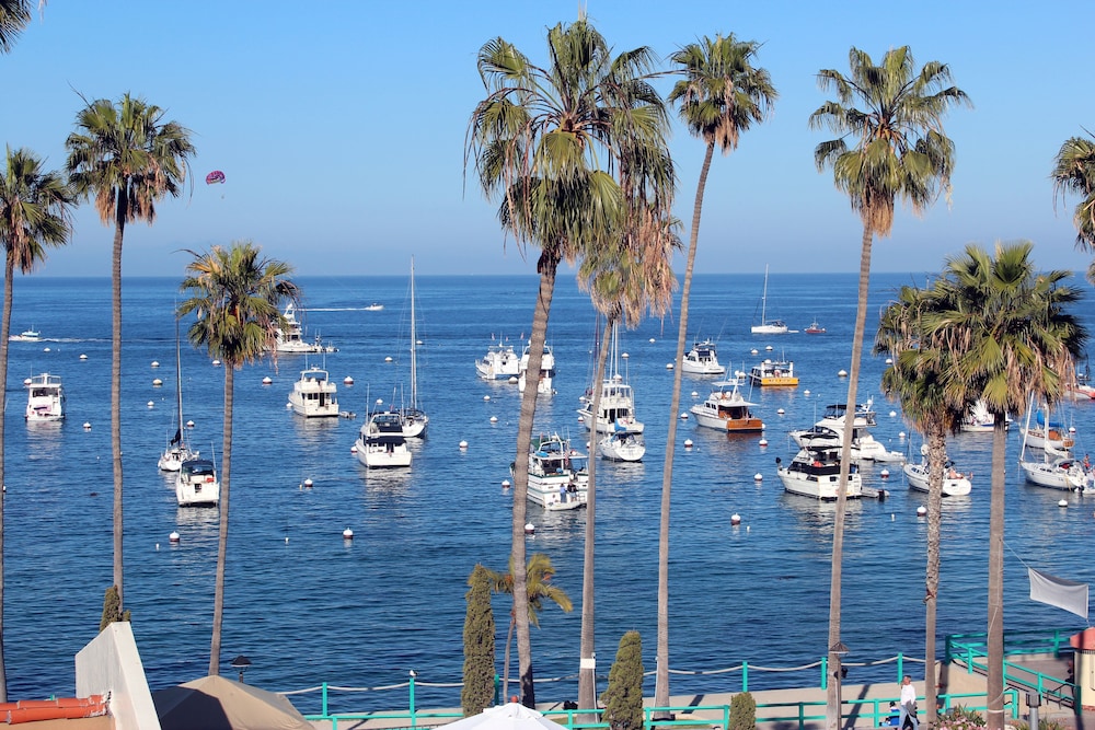 Studio 9 Hotel Catalina - photo 90