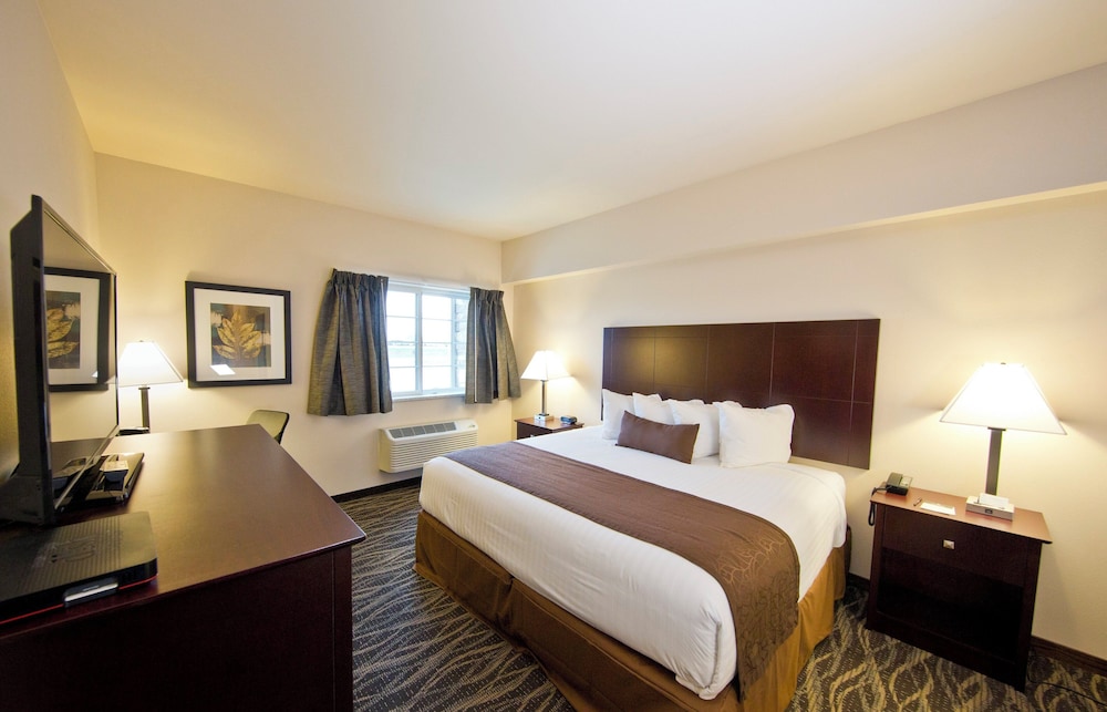 Cobblestone Inn & Suites Boone - photo 29