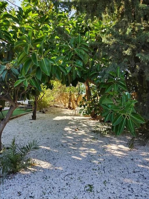Casa Pitaya 10 min walk to city centre — 4-Star Luxury Hotel in Alhaurin El Grande, Spain