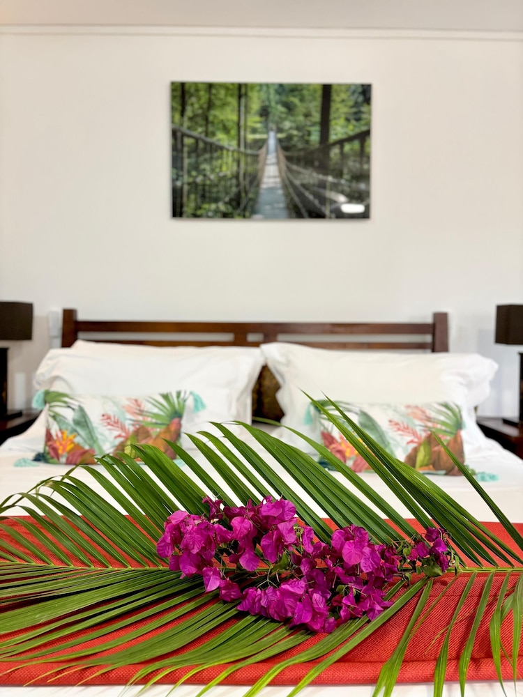 Serinity Saint-Francois