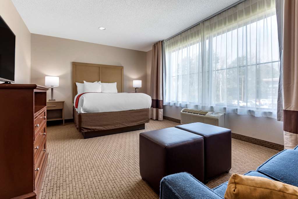 Comfort Inn & Suites Farmington Victor - photo 21