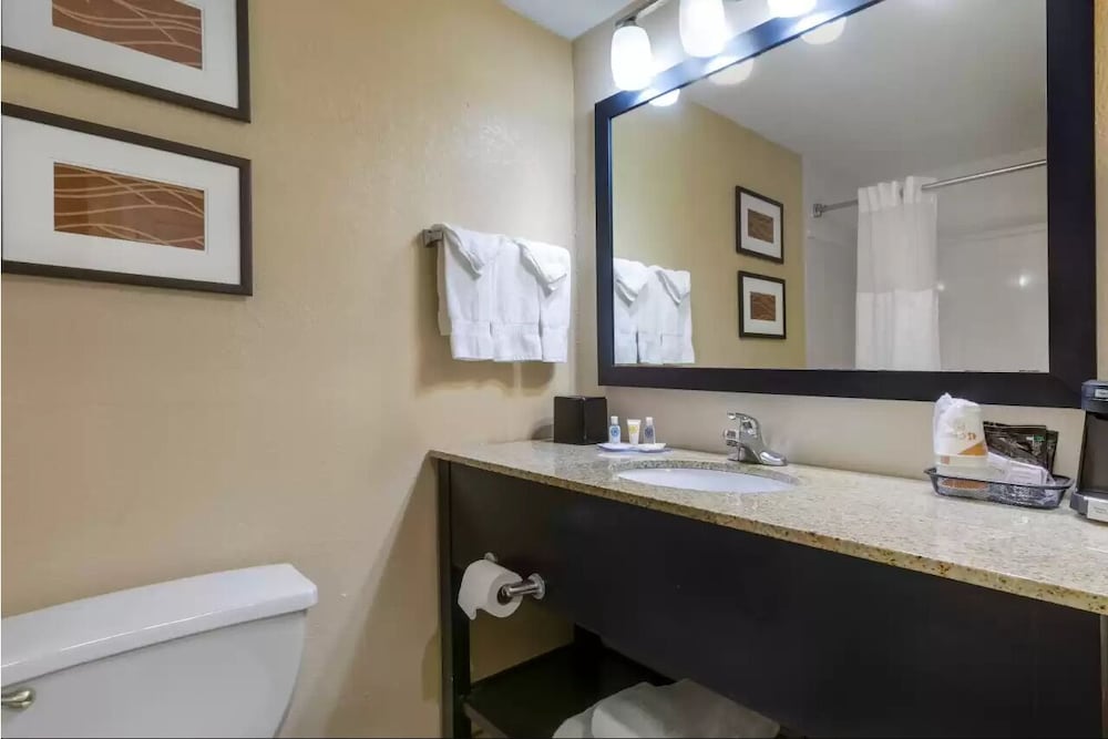 Comfort Inn & Suites Peachtree Corners Norcross - photo 19