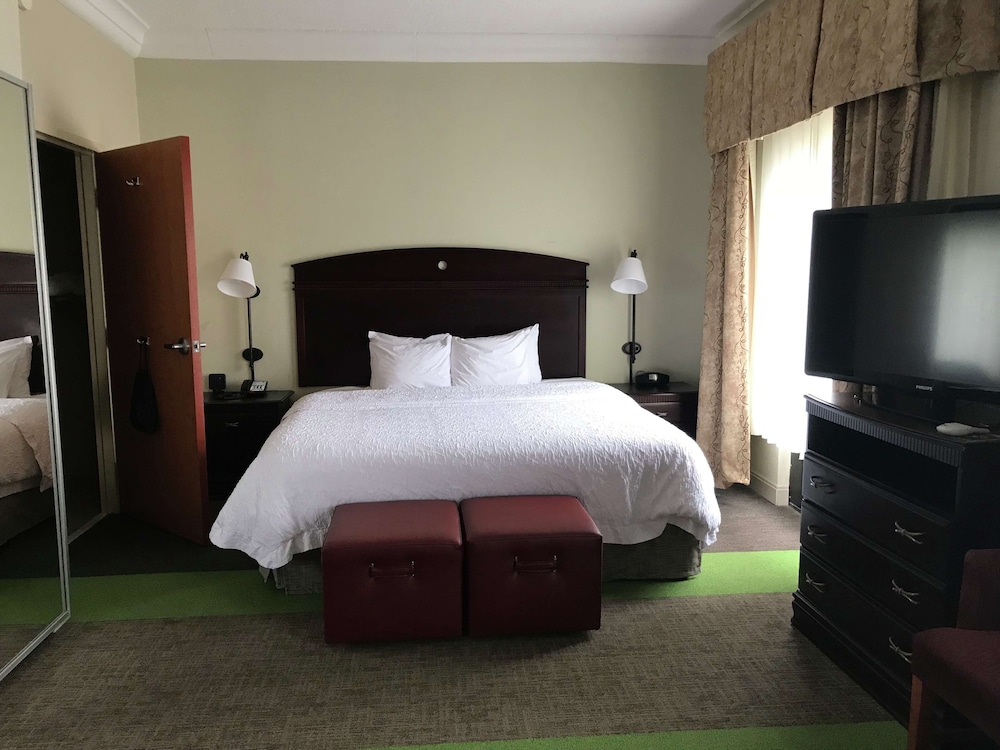 Hampton Inn Vidalia - photo 19