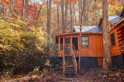 Birds Nest Cabin At Cabin Fever In Nc 22031038 — Saluda