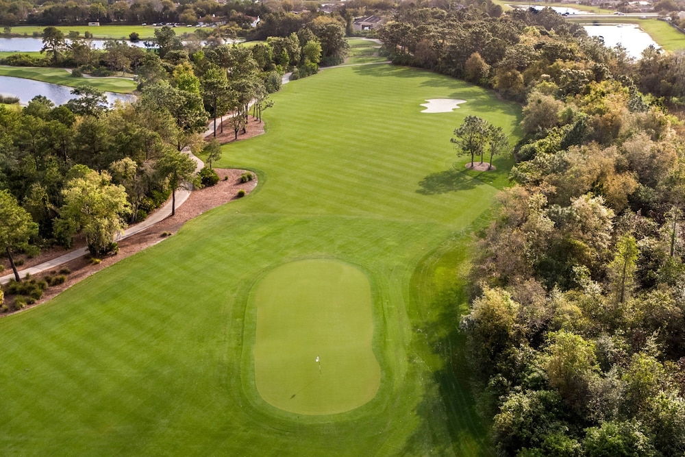 The Ritz Carlton Orlando Grande Lakes - photo 97