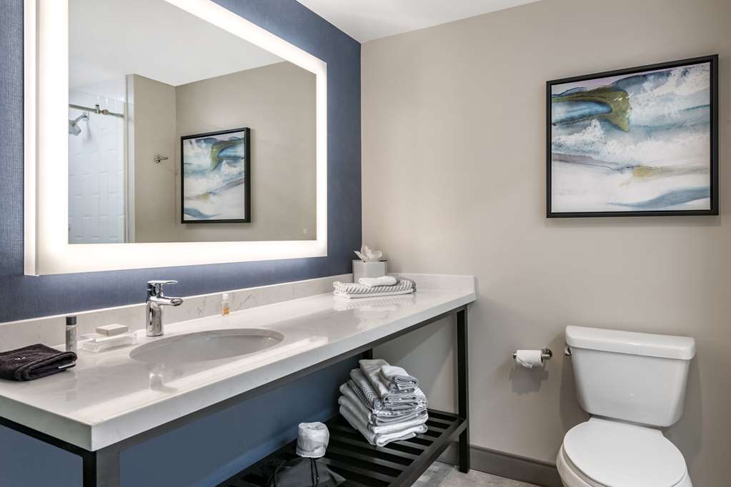 Cambria Hotel Orlando Airport - photo 29