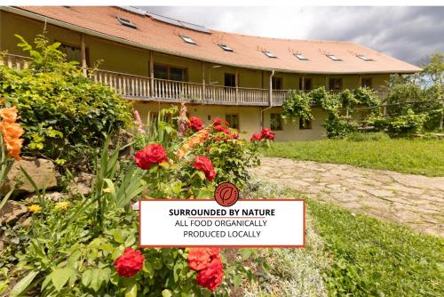 Natura Planinca in Unknown City, Slovenia