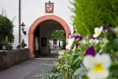 Schlosshotel Rothenbuch — Rothenbuch — photo 4