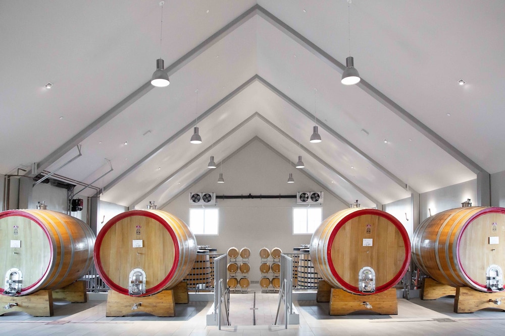 Ponte Vineyard Inn - photo 22