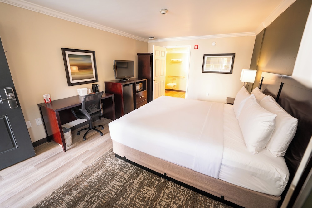 Mai Hana Hotel & Suites International Drive - photo 8