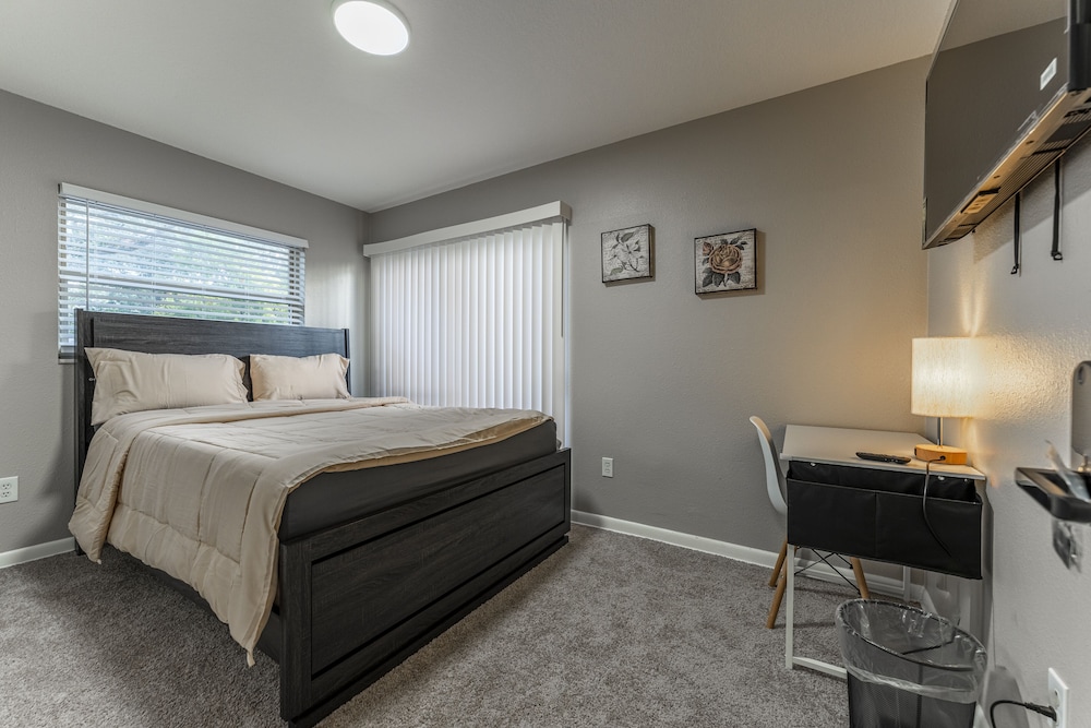 ZenHomes in Tampa near Busch Gardens - photo 3