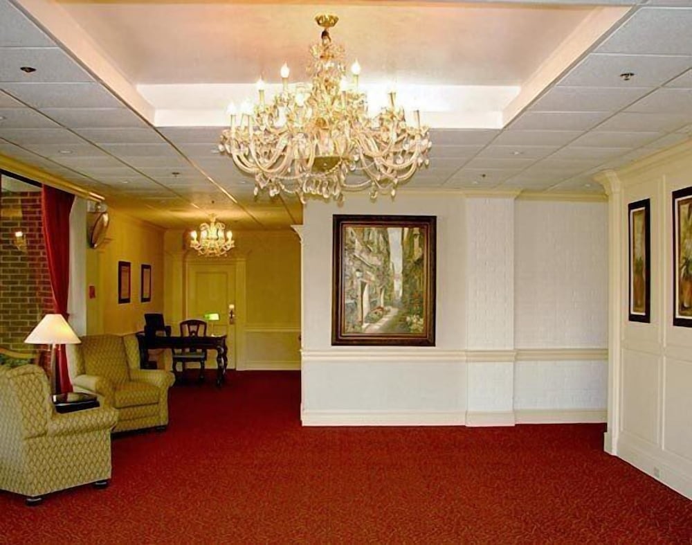 Amsterdam Hotel - photo 4