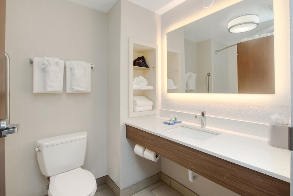 Holiday Inn Express Hotel & Suites Orlando Apopka by IHG - photo 23