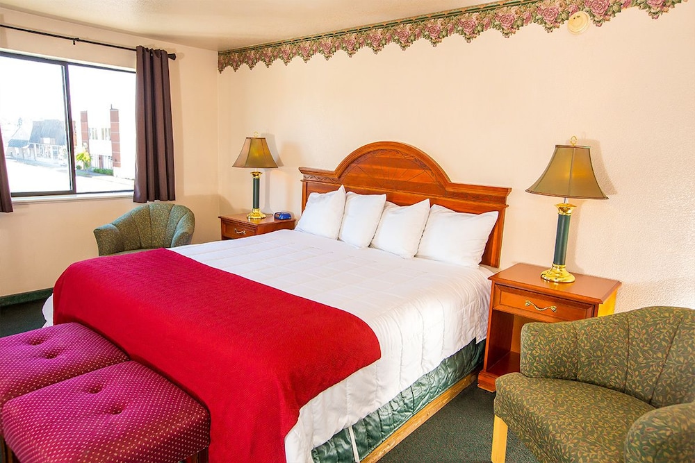 Village Inn & Suites - photo 8