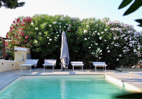 Villa Nina Lussuosa Villa Con Piscina Privata a Stintino — 4-Star Luxury Hotel in Stintino, Italy