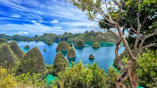 Explores raja Ampat - last minute hotel in Unknown City