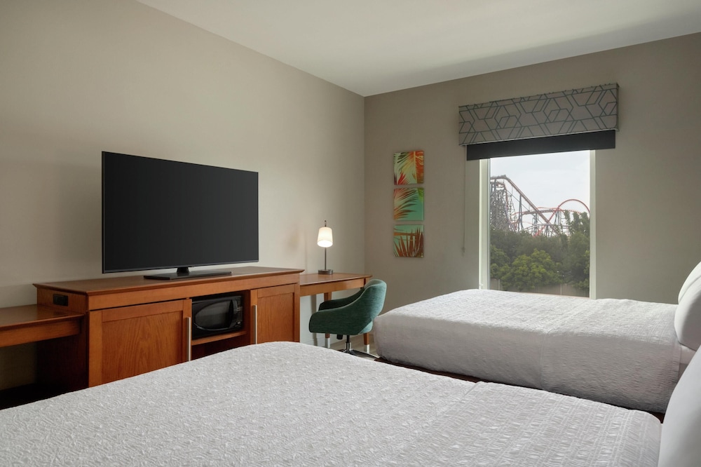 Hampton Inn & Suites Tampa Busch Gardens Area - photo 15