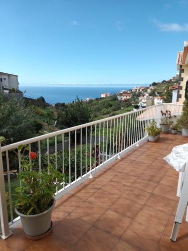 Casa Da Fonte Dos Castanheiros — 4-Star Luxury Hotel in Estreito Da Calheta, Portugal