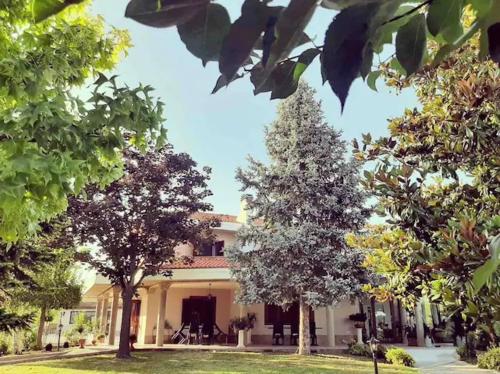 Villa Cycas — 4-Star Luxury Hotel in Roseto Degli Abruzzi, Italy