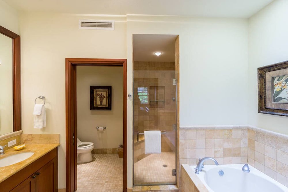 Kolea 14F at the Waikoloa Beach Resort - photo 11
