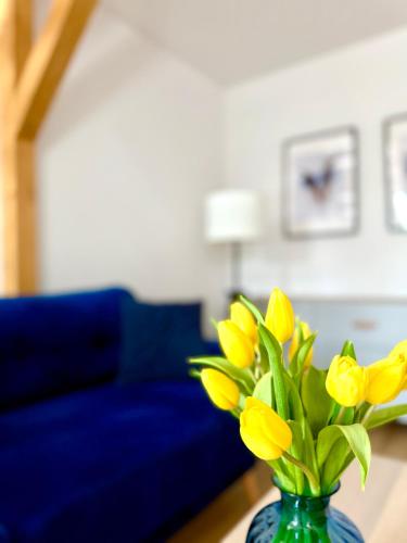 Apartament w samym sercu miasta z DARMOWYM PARKINGIEM Pod Złotym Lwem hotel VI in Klodzko, Poland