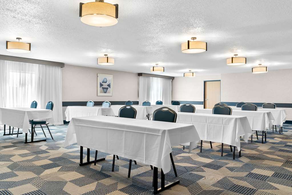 Best Western Plus Flint Airport Inn & Suites - photo 40