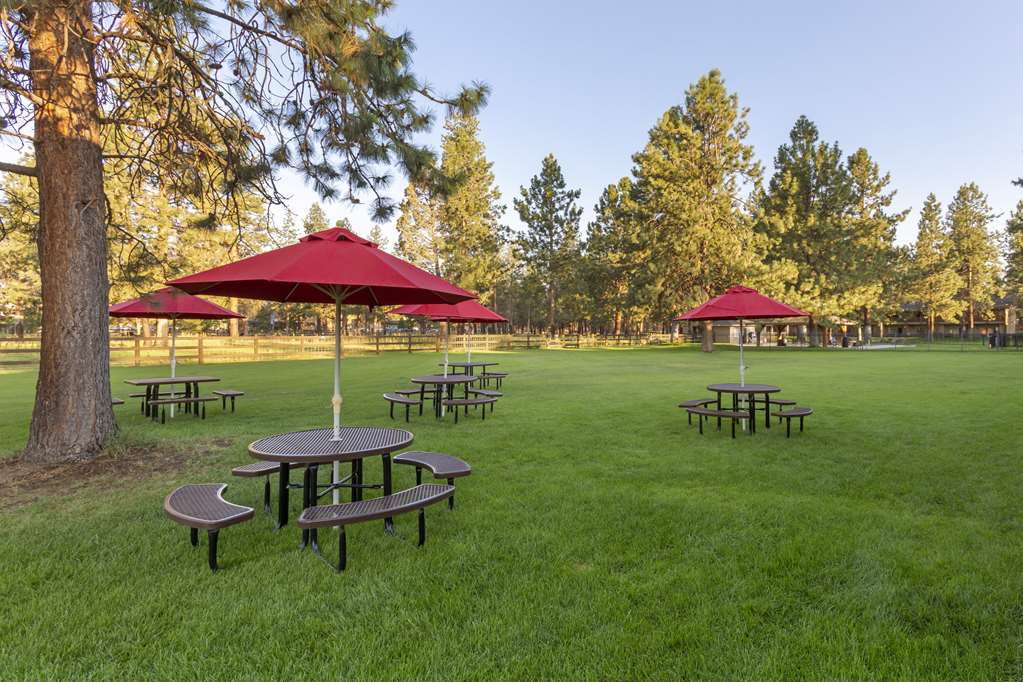 Best Western Ponderosa Lodge - photo 62