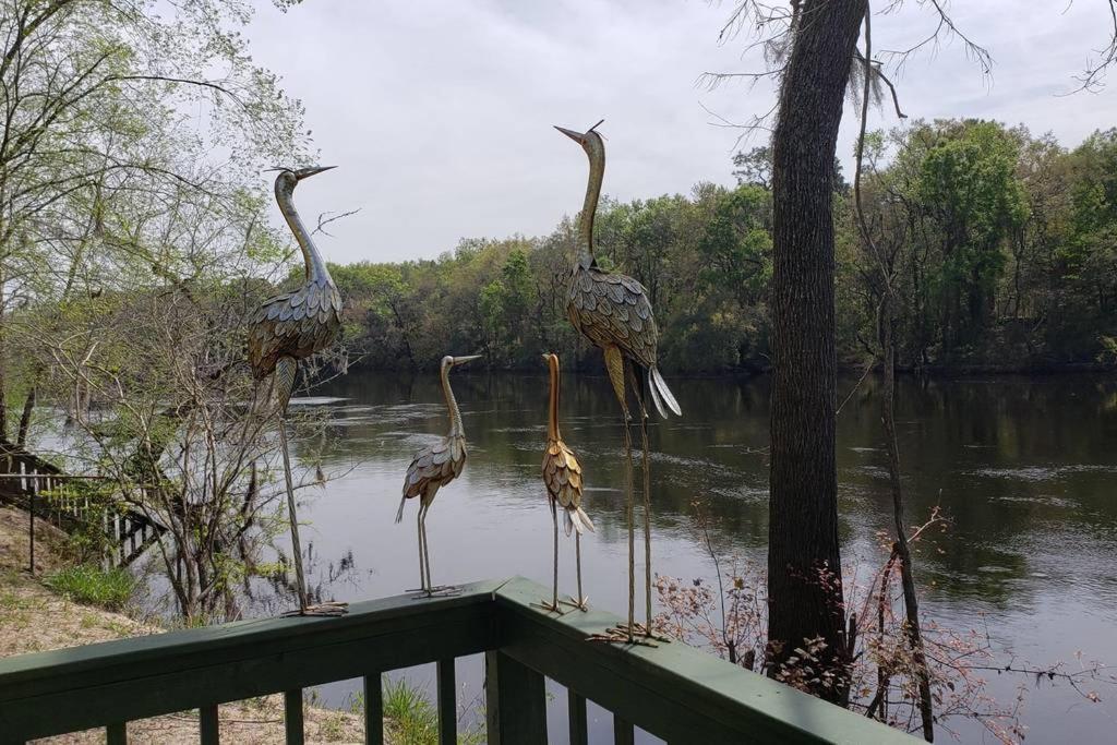 Margaritaville On The Suwannee River - photo 10