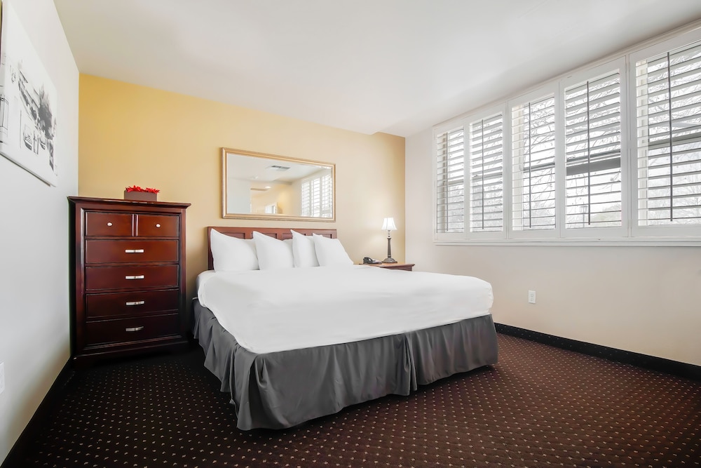 Lions Gate Hotel - photo 9
