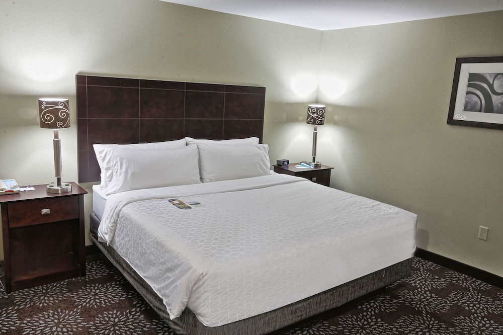 Holiday Inn Express & Suites Pittsburgh West Greentree by IHG - photo 31
