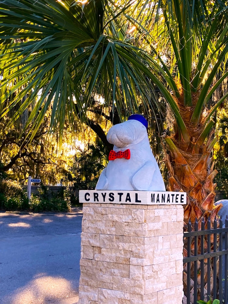 Retreat at Crystal Manatee - photo 16